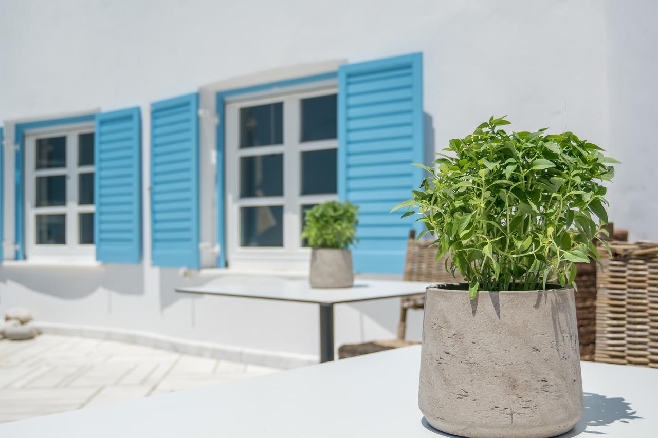 Capo Di Mykonos Resort Agios Ioannis Diakoftis Eksteriør bilde
