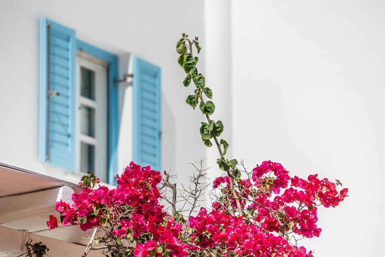 Capo Di Mykonos Resort Agios Ioannis Diakoftis Eksteriør bilde