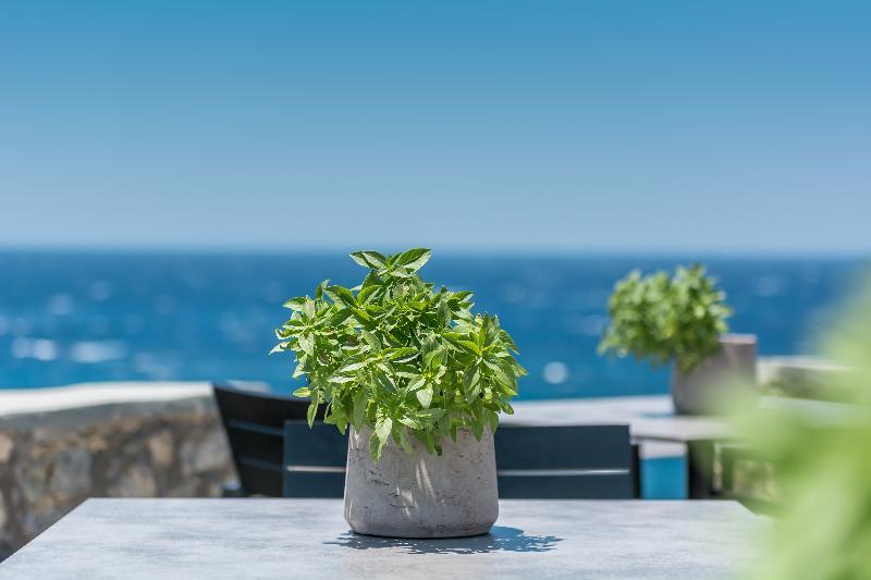 Capo Di Mykonos Resort Agios Ioannis Diakoftis Eksteriør bilde